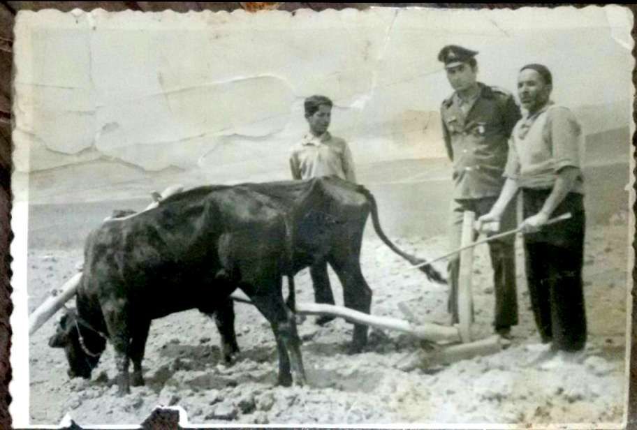 کشاورزی سنتی در ایران
